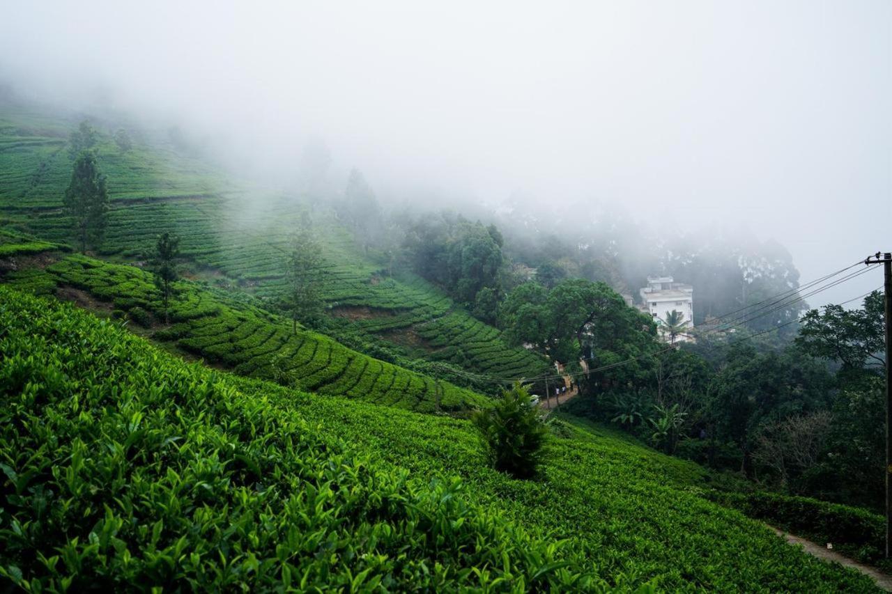 Lime Light Resort Munnar Kültér fotó